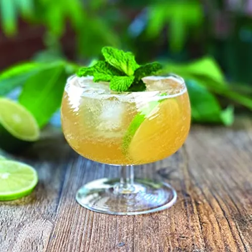 Advanced Mixology Moscow Mule Cocktail Infusion (2 pk) | Alcohol Infusion Kit for Island Moscow Mule and Orchard Moscow Mule | Alcohol Gifts for him