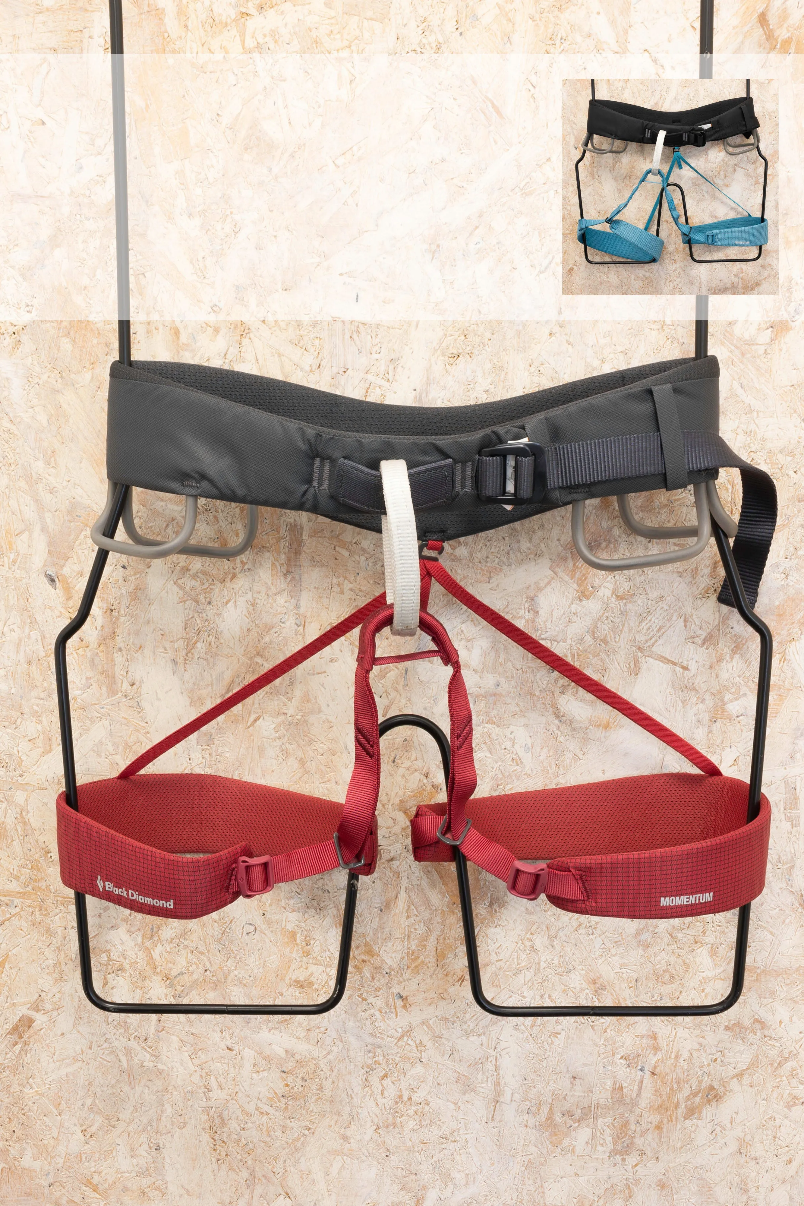 Black Diamond - Momentum Harness, Women