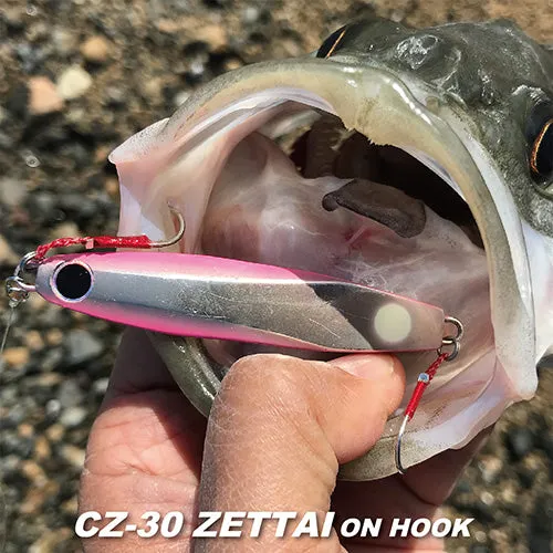 COREMAN Metal Jig CZ-30 with Hook 30g