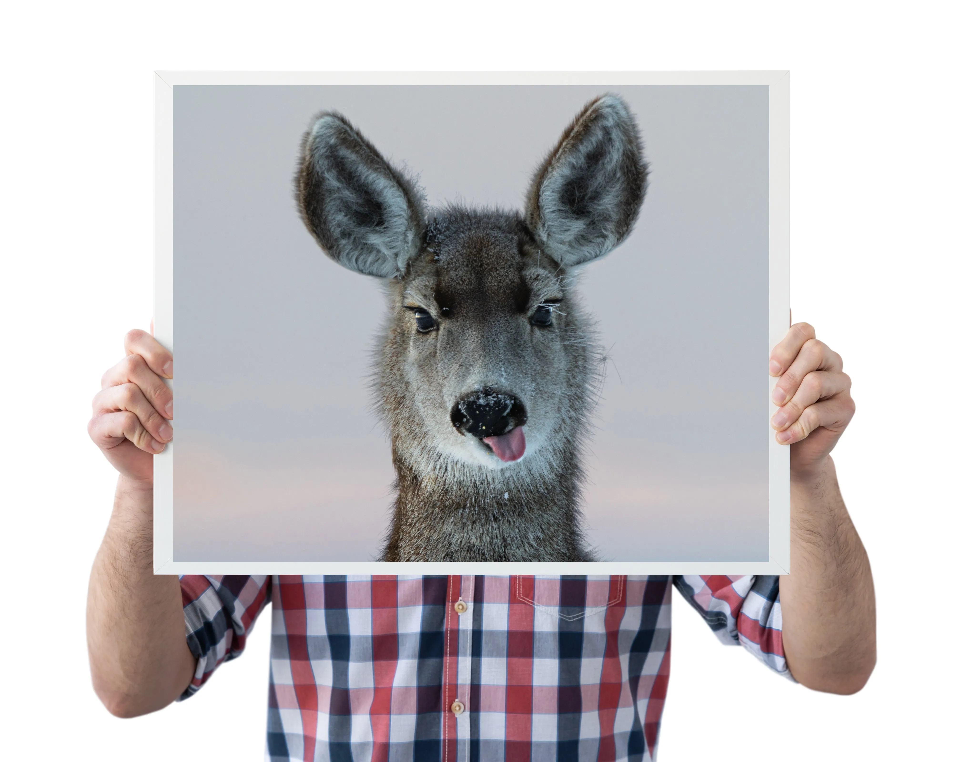 Deer Funny  Wall Art