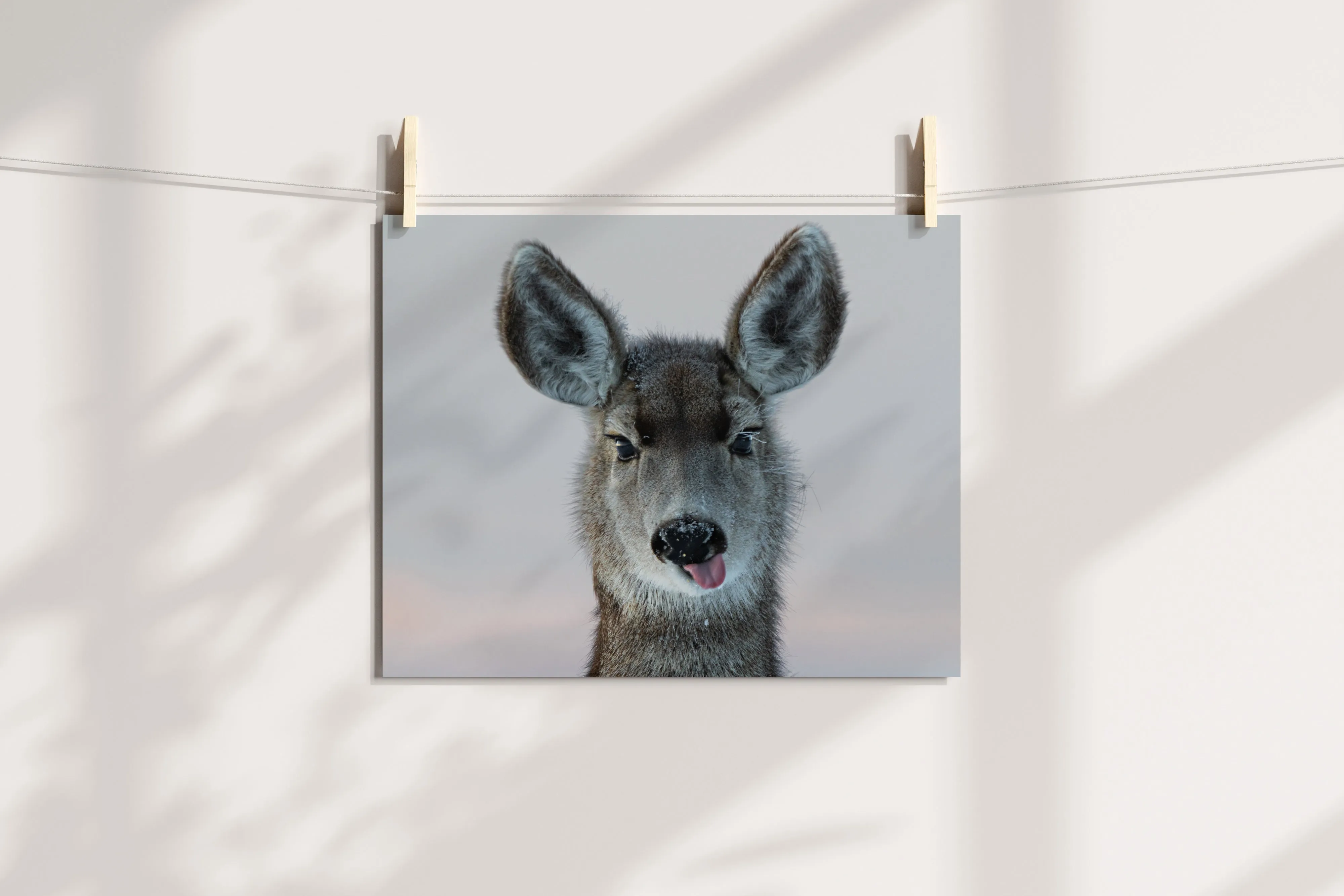 Deer Funny  Wall Art