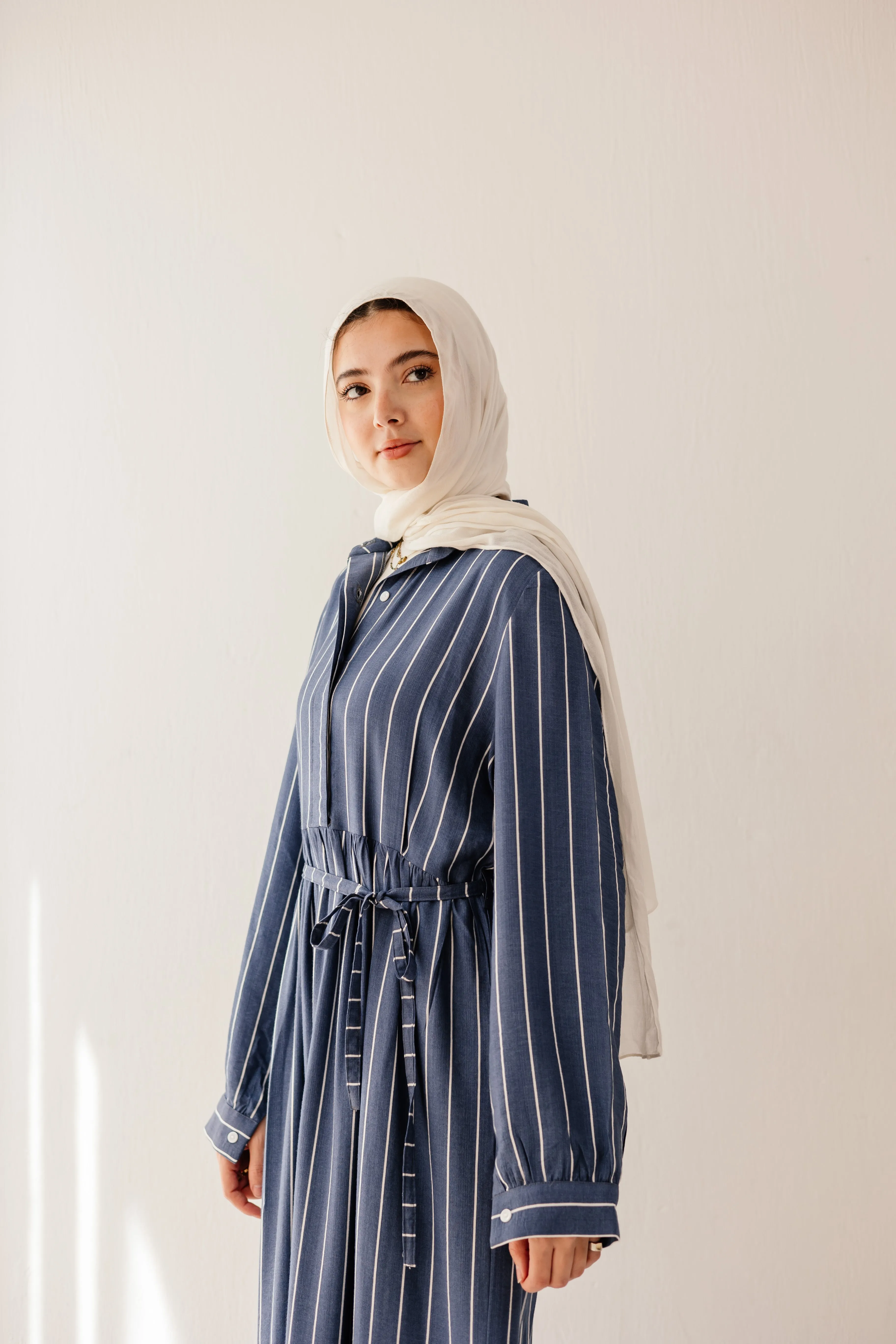 Marine Stripe Dress