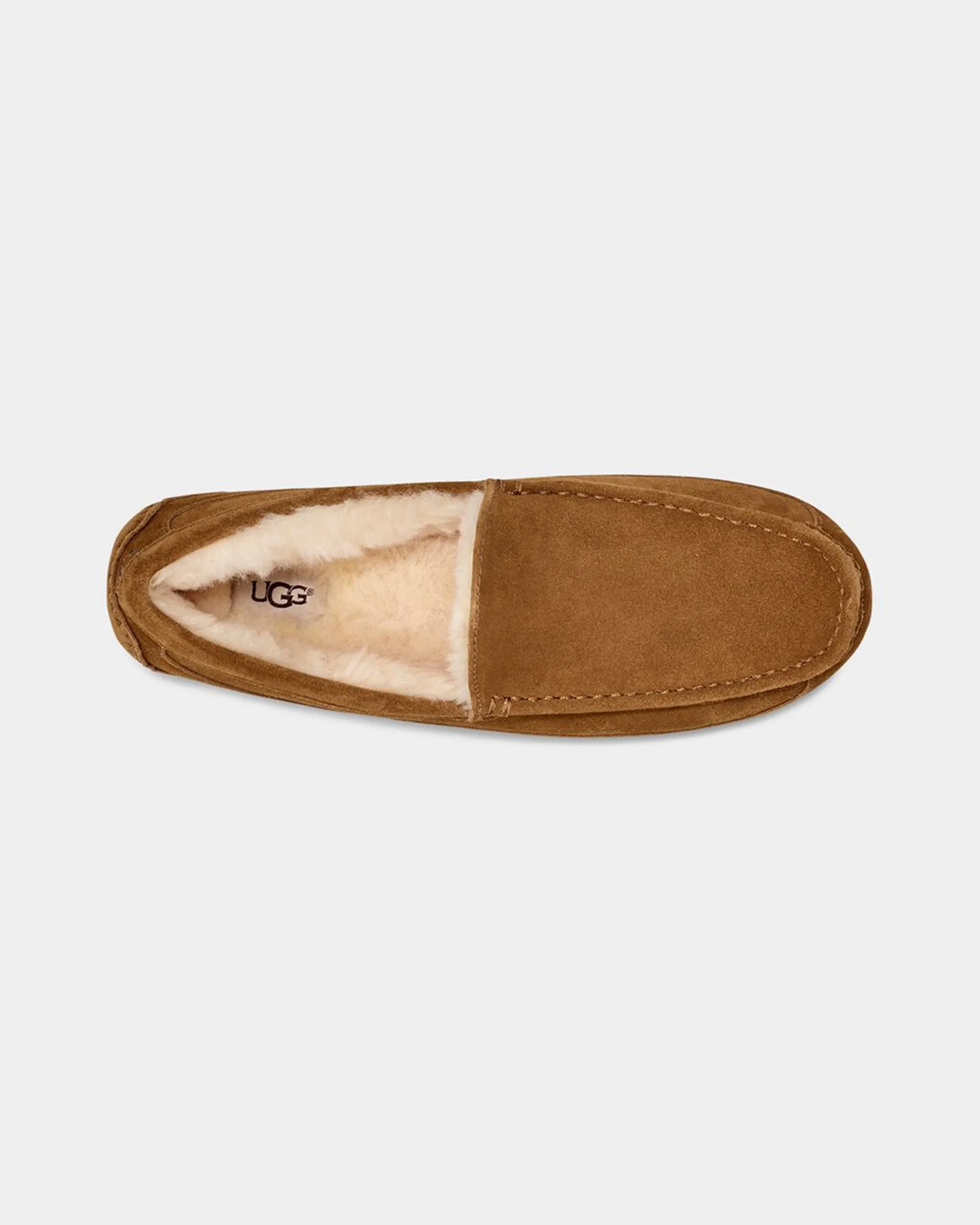 Men's Ascot Slipper - Chestnut