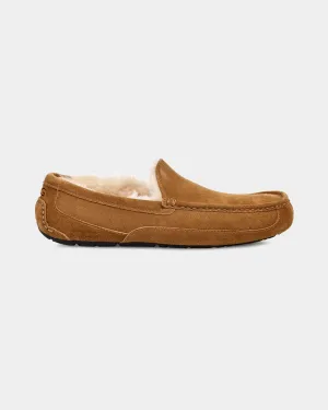 Men's Ascot Slipper - Chestnut