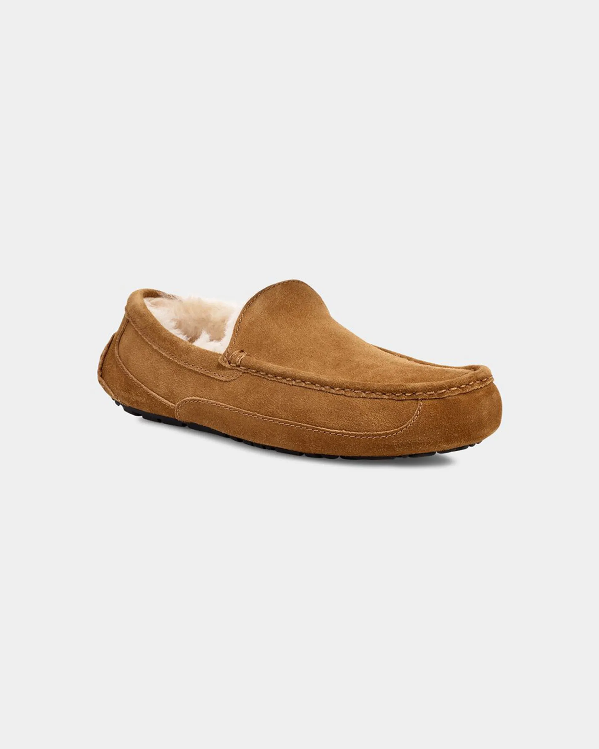 Men's Ascot Slipper - Chestnut