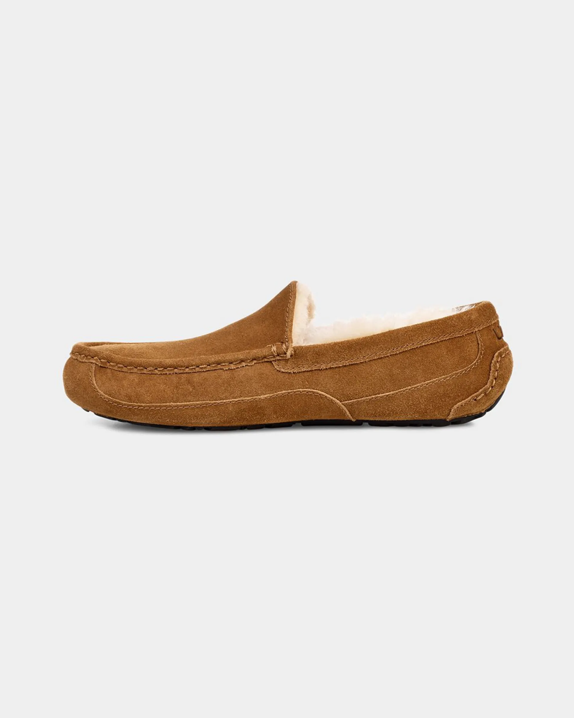 Men's Ascot Slipper - Chestnut