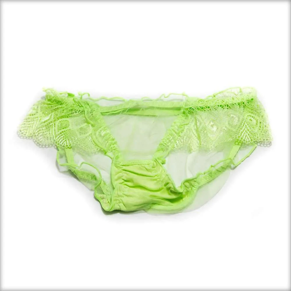 Net Transparent Blue Panty