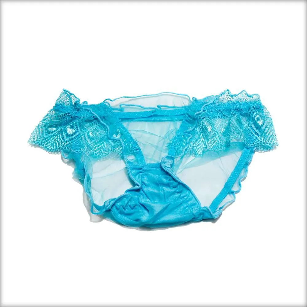 Net Transparent Blue Panty