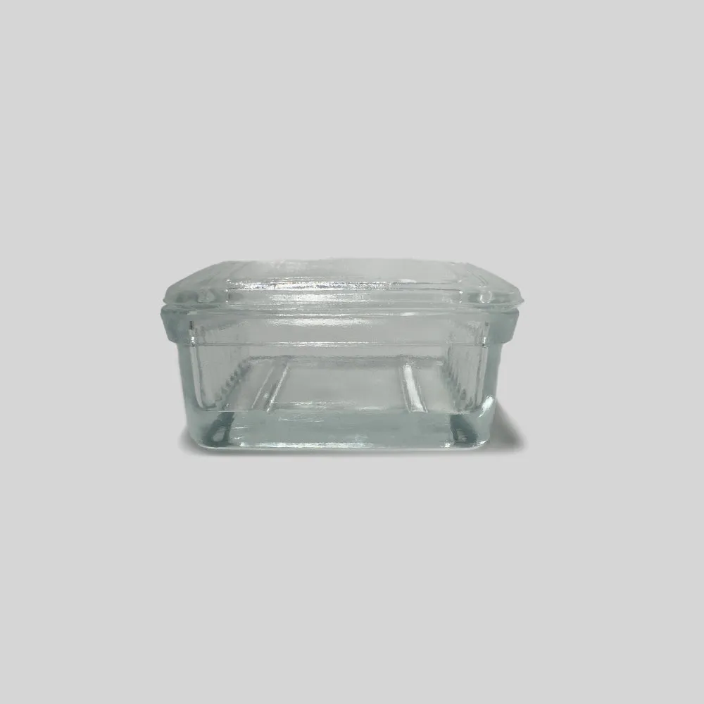 Rectangular Glass Stain Dish and Lid – Holds 20 Microscope Slides